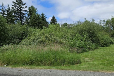 Vacant Lot in Tacoma, WA